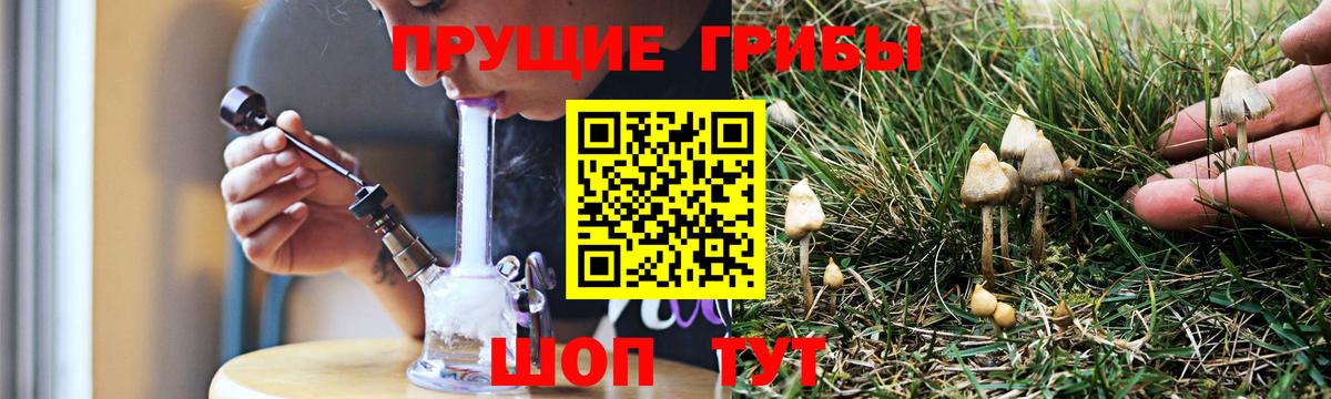 наркота  Псилоцибиновые грибы Psilocybine cubensis  Вход с VPN  Кубинка 